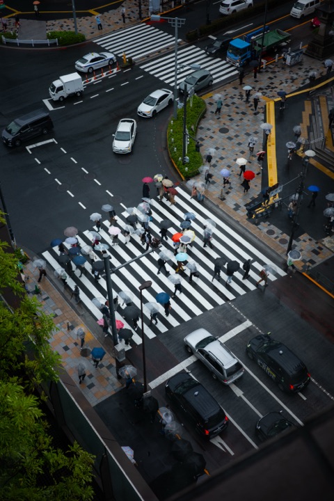A pedestrian crossing seen from high above, scattered with colourful umbrellas on a rainy day
